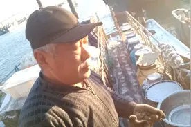 在床上早清起来锻炼。船上的空间太小。那不给身子。我走廊把手锻视频封面