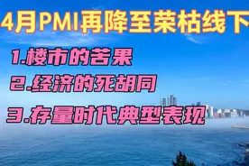4月制造业PMI再降至荣枯线下视频封面