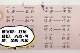 近义词：打扮-装扮，大概-可能，呆板-古板，担负-担任，悼念视频封面
