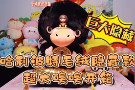 超大隐藏开箱来喽！泡泡玛特哈利波特毛绒公仔隐藏款巨大嗅嗅！视频封面
