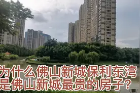 为什么佛山新城保利东湾的房子是佛山新城最贵的？因为地段最好呗