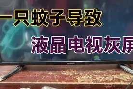 液晶电视灰屏无图像， 看师傅是如何处理的？ 看完视频能学到技术视频封面