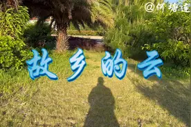 《故乡的云》故乡的情，故乡的人，永远是一道无与伦比的风景视频封面