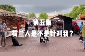 荷兰人是不是针对我？视频封面