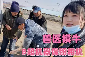实拍东北牛集现场，兽医摸牛检查是否怀孕，100块挣得真不容易视频封面
