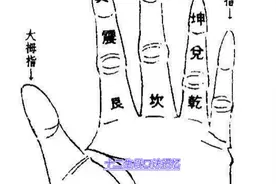 十二生肖口诀记忆视频封面