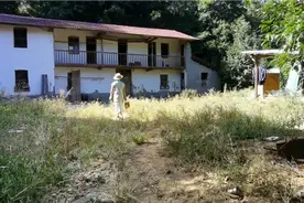 藏在山谷中的乡村小院，陕西网友一看就相中，他说来金盆山圆梦了视频封面