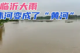 山东临沂大雨：田地变成鱼塘，沭河变成了黄河，橡胶坝全力泄洪！视频封面