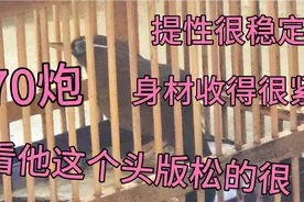 各位鸟友们，分享只齐毛画眉鸟给大家参观一下，如何选到一只好鸟视频封面