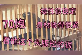 各位鸟友们，分享只齐毛画眉鸟给大家参观一下，如何选到一只好鸟视频封面