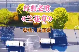 经典老歌《兰花草》，让你重回童年时光，带给你不一样的童年记忆视频封面