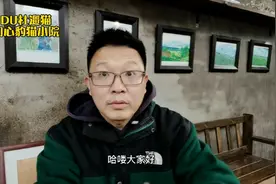 明年颁布动物保护法，养猫人繁育行业将受到很大的影响（一）视频封面