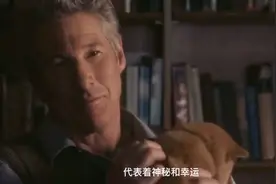 忠犬八公01：妻子反对帕克养狗，最后她看到这一幕改变了想法视频封面