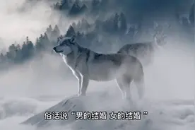 你想知道女性长期缺爱会有什么表现吗？视频封面