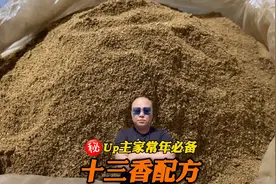老师傅祖传下来的“秘制十三香”配方，煎炒烹炸炖做啥都好吃视频封面