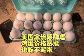 美国禽流感肆虐鸡蛋价格一路暴涨，水深火热快吃不起鸡蛋啦视频封面