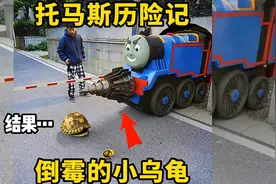 托马斯历险记，倒霉的小乌龟视频封面