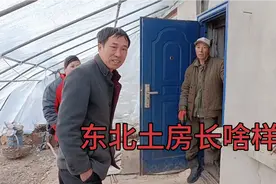 东北大炕能睡十几个人，原来全家老小一起住，现在孩子少了空荡荡视频封面