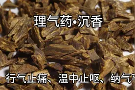 介绍理气药•沉香，不仅能行气止痛，还被誉为“植物中的钻石”。视频封面
