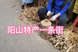 阳山特产集散中心视频封面