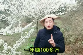 年轻小伙回村创业，年赚100多万，大棚种植草莓不愁消路视频封面