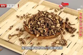 北京中医医院消化中心专家带来千年古方，化解矛盾调肝脾视频封面