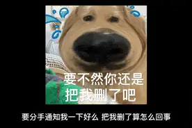 分手最体面的告别句子 好聚好散各自安好的句子视频封面