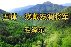 毛主席诗词诵读《五律•挽戴安澜将军》赞美抗日英雄号召国共合作视频封面