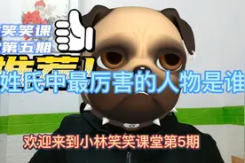 小林笑笑课堂第五期，你姓氏中最厉害的那个人是谁，我先来，林冲视频封面