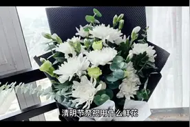 清明节祭祀用什么鲜花视频封面