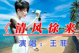 王菲演唱经典歌曲《清风徐来》视频封面