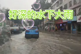 一首《你是我今生难忘的人》DJ情歌带大家看大雨的城市马路！视频封面