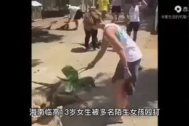 临高打人视频封面
