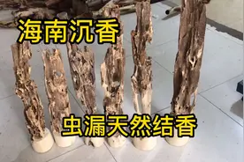 海南沉香，纯天然虫漏结香摆件，家里摆放一个，整个房子都有香味视频封面