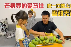不愧为芒果界的爱马仕，吃一口就上瘾，香甜无敌，侄女吃的不放手视频封面