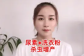尿素加洗衣粉，杀虫增产。