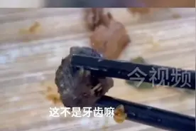 古有赵高指鹿为马，今有局长指鼠为鸭，孰是孰非，自有定断视频封面