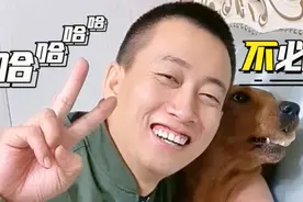 主人和狗子照相，惨遭小迷糊嫌弃，上演另类合照！视频封面
