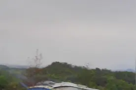 大家好我本期视频分享一种专业名贵千里光草药专治眼睛独一无二视频封面