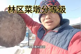 林区砧板分等级，一柳二椴三青杨，这种方法让你家菜墩好用干净！视频封面