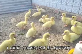 撩人小故事视频封面