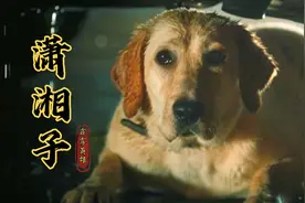 一曲伤感纯音乐《潇湘子》，轰动人狗奇缘的真实故事，太感动了