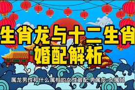 属龙的人与十二生肖婚配解析#生肖婚配 #生肖龙视频封面
