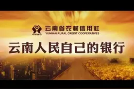 云南农信怎么了视频封面