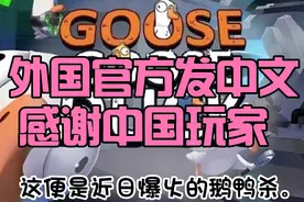 鹅鸭杀官方发布中文公告感谢中国玩家视频封面