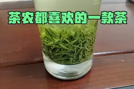 信阳毛尖一芽一叶，原产地茶农茶商老百姓都喜欢喝它，当地叫娄头视频封面