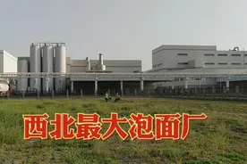 实拍西北最大的泡面工厂，它生产的食品很多人吃过视频封面