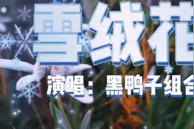 雪绒花象征着勇敢，花语是重要的回忆，因独特的药用价值而闻名视频封面