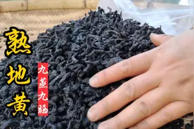 生地黄，历经50多天九次蒸晒，终于做出“永春三宝”之一的熟地！视频封面