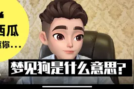 梦见狗是什么意思？做梦梦到狗好不好？（二）视频封面